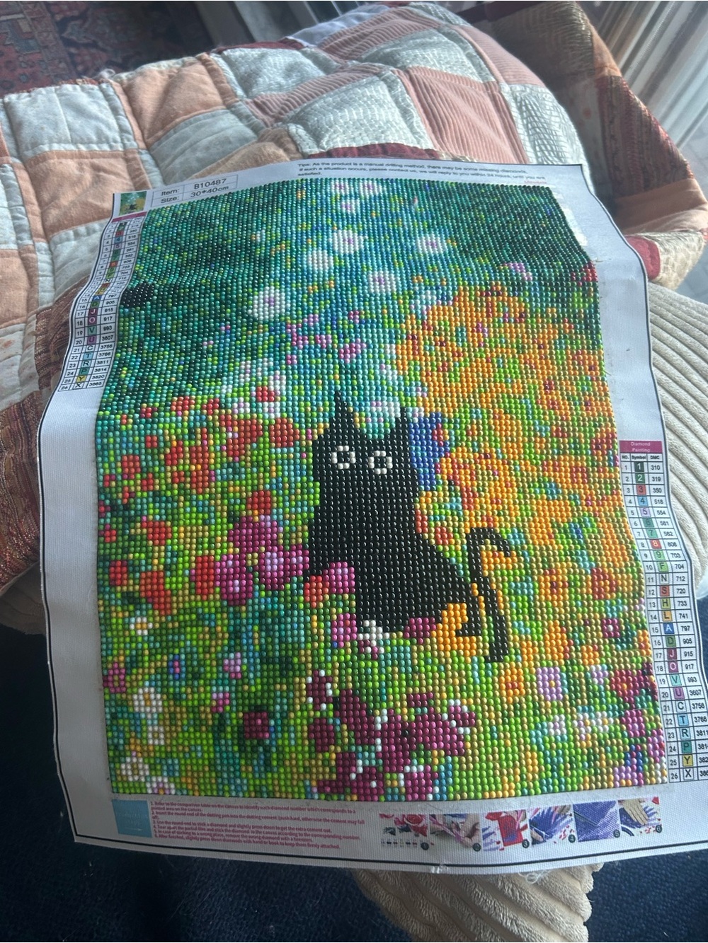 Black Cat Diamond Painting Kit - Colorful Floral Design